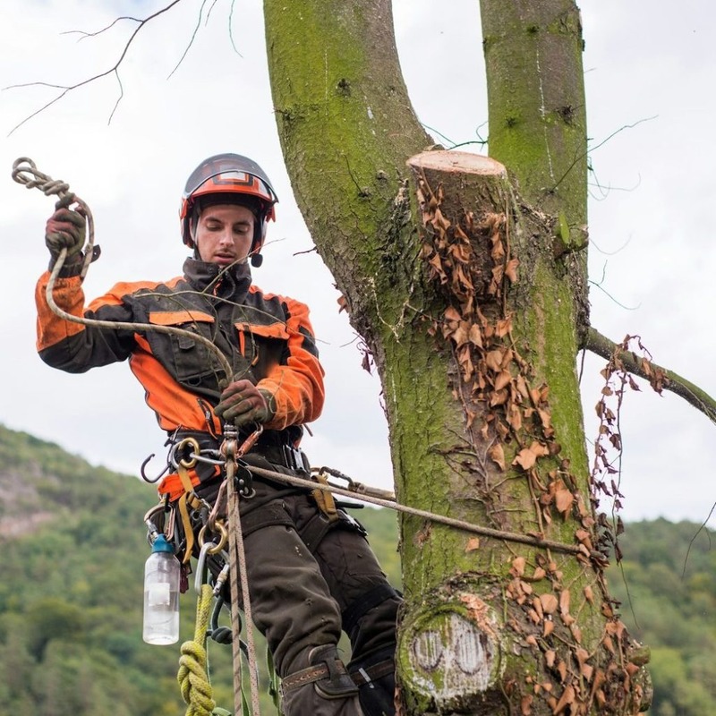 Countrywise UK - Expert Outdoor Maintenance and Landscaping Services